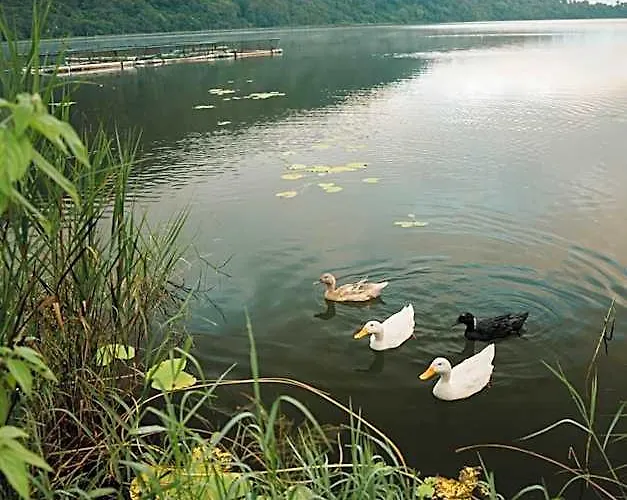 The Dewi Bedugul Campo de lujo Candikuning